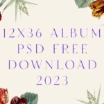 Best 2024 with 12×36 Album PSD Free Download 2023